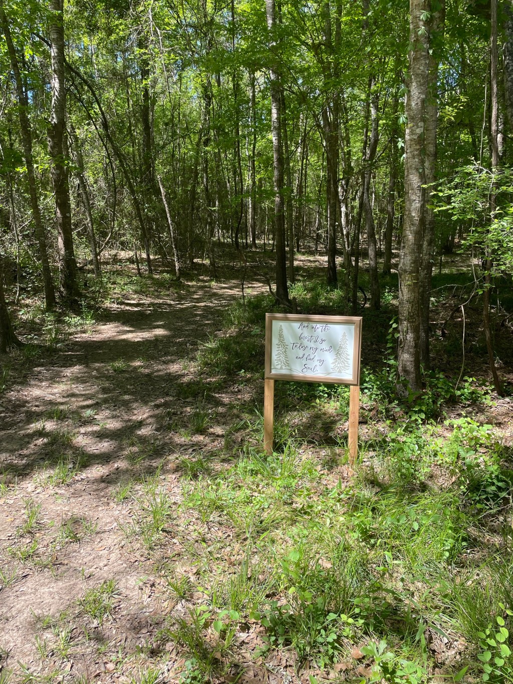 Doing it Scared, Why I Don’t Let Fear Steal my&nbsp;Joy