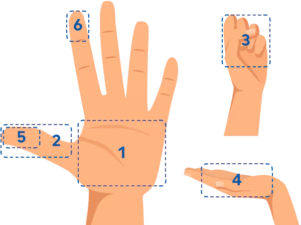 Week 3: Strength, Posture & Portion Control — Building a Stronger&nbsp;Foundation