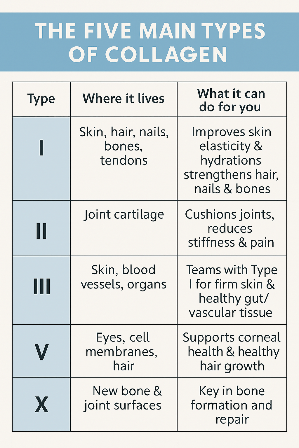 Collagen 101: What It Is & Why Mid-Life+ Bodies Love It